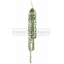 Chute Crassula Kleinia artificiel 60cm sur pique