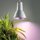 Kit lampe de croissance Eco L15 pour plantes
